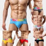 Hot Underwears Men's Shorts Briefs Sexy Mesh breathable Male rainbow colours