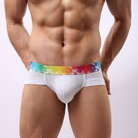 Hot Underwears Men's Shorts Briefs Sexy Mesh breathable Male rainbow colours